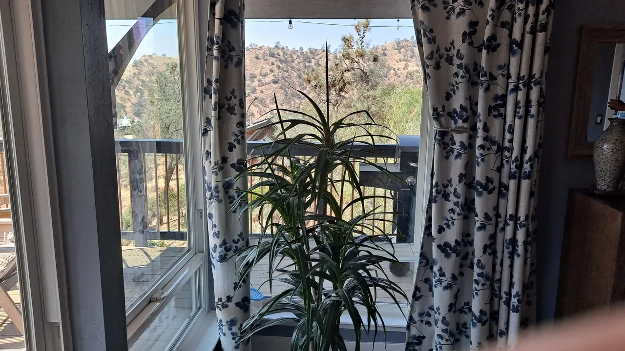 A window and potted plant at our Fresno residence